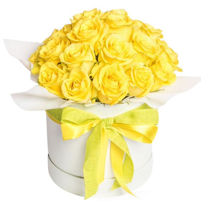 Yellow box S