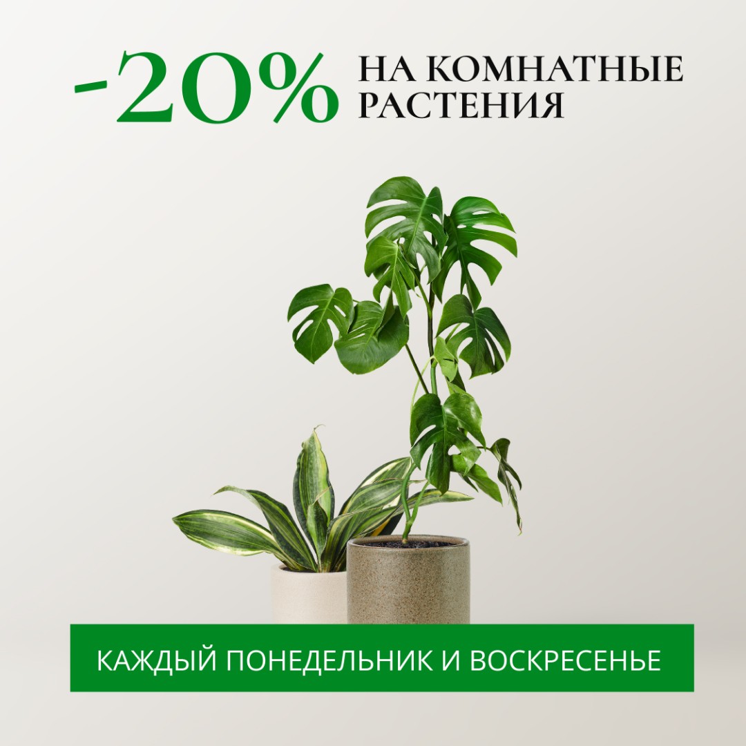 -20% на горшечные растения каждое воскресенье и понедельник