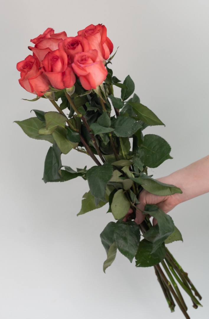 7 коралловых роз 60 см.